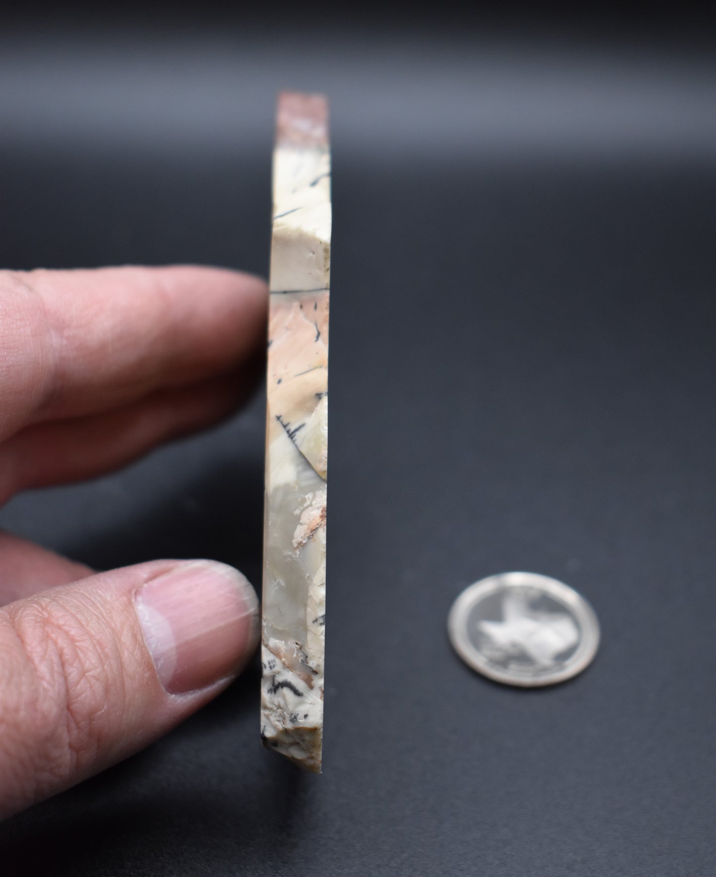 Willow Creek End Cut Polished Specimen