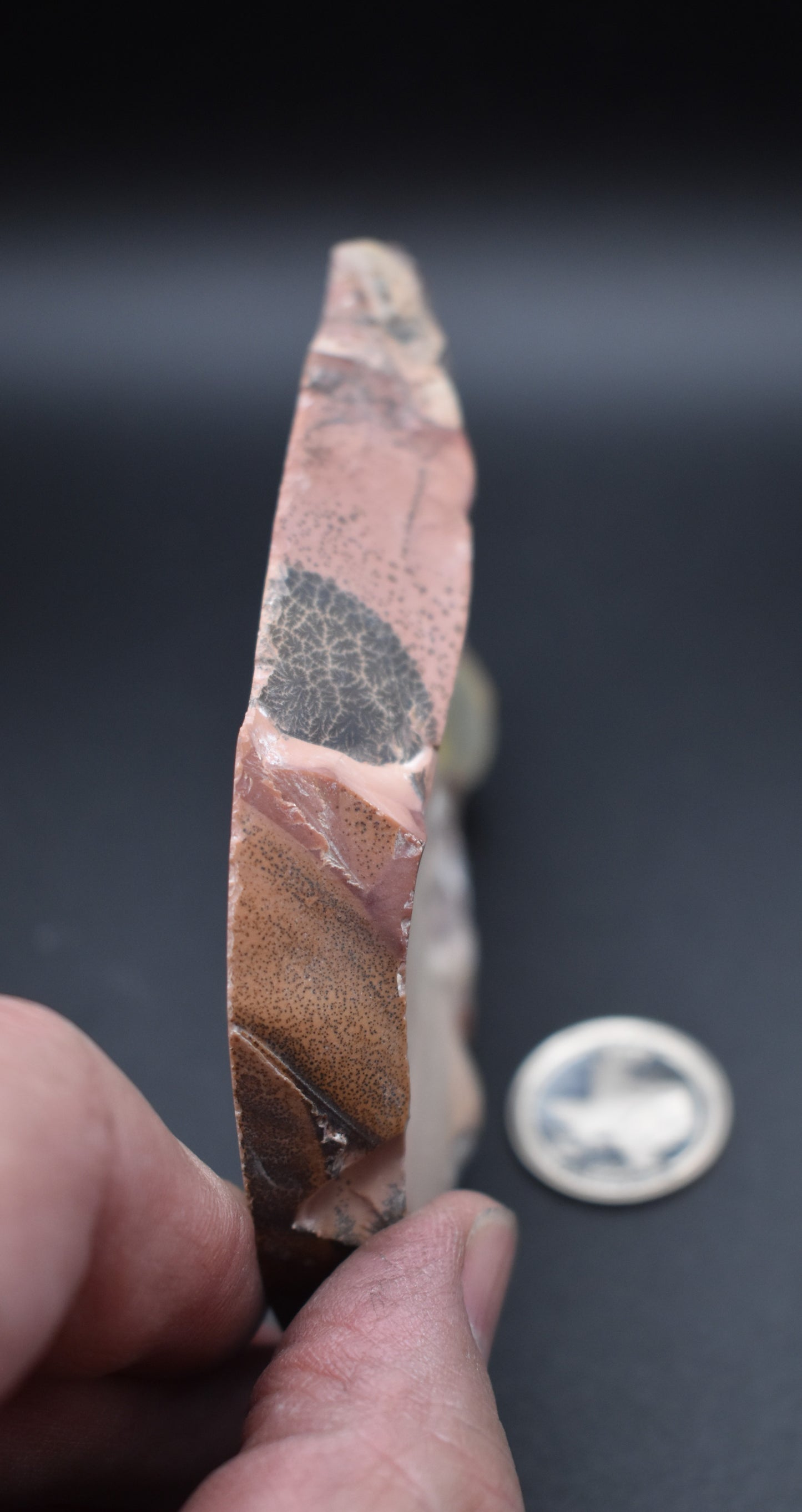 Willow Creek Jasper End Cut Polished Specimen