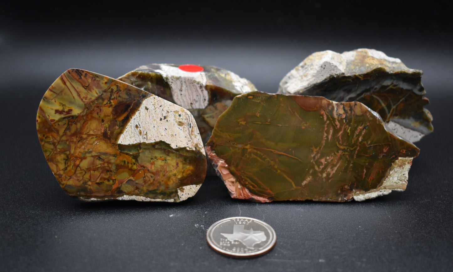 Morrisonite Polished Specimens (4)