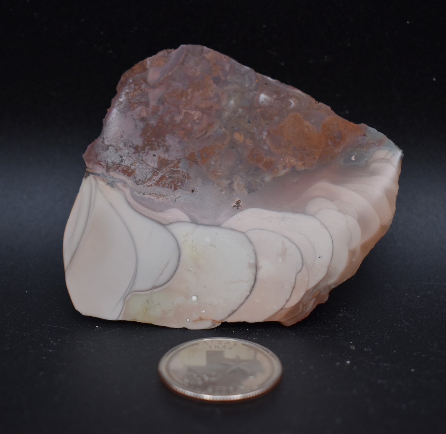 Willow Creek Polished Specimens (3)