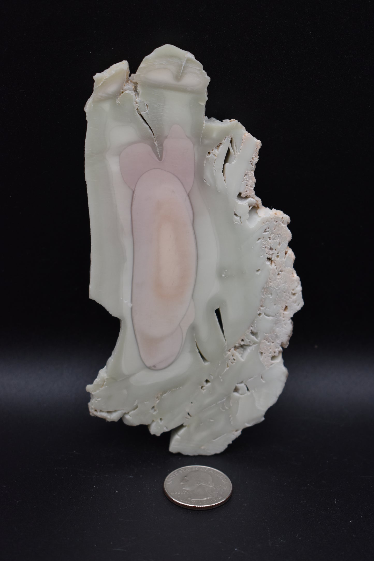 Willow Creek Polished Specimen