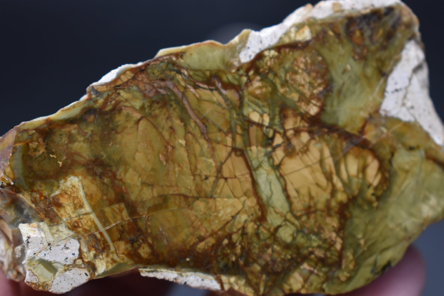 Morrisonite Polished Specimen