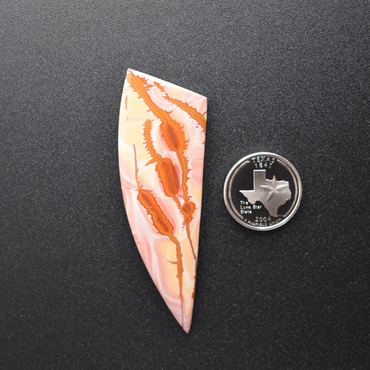 Red Falcon Jasper Cabochon