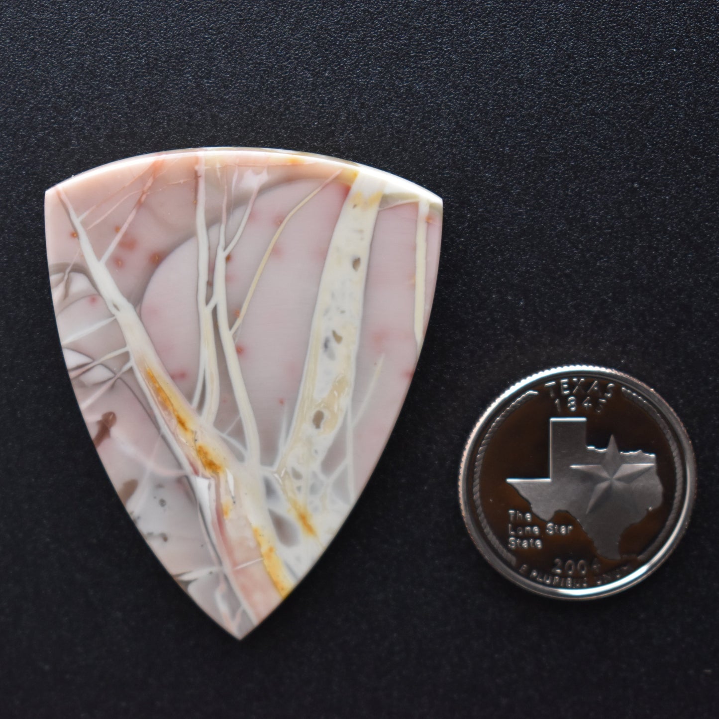 Willow Creek Jasper Cabochon