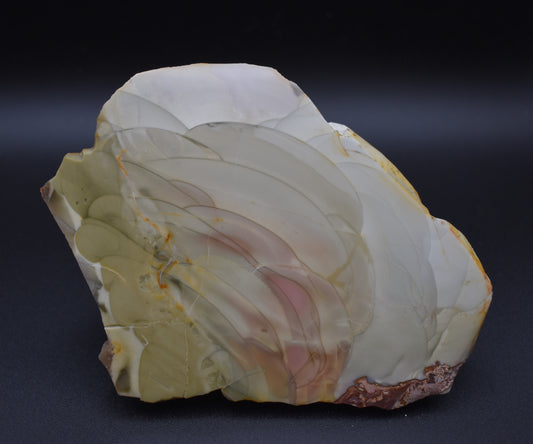 WIllow Creek Jasper Polished End Cut Specimen