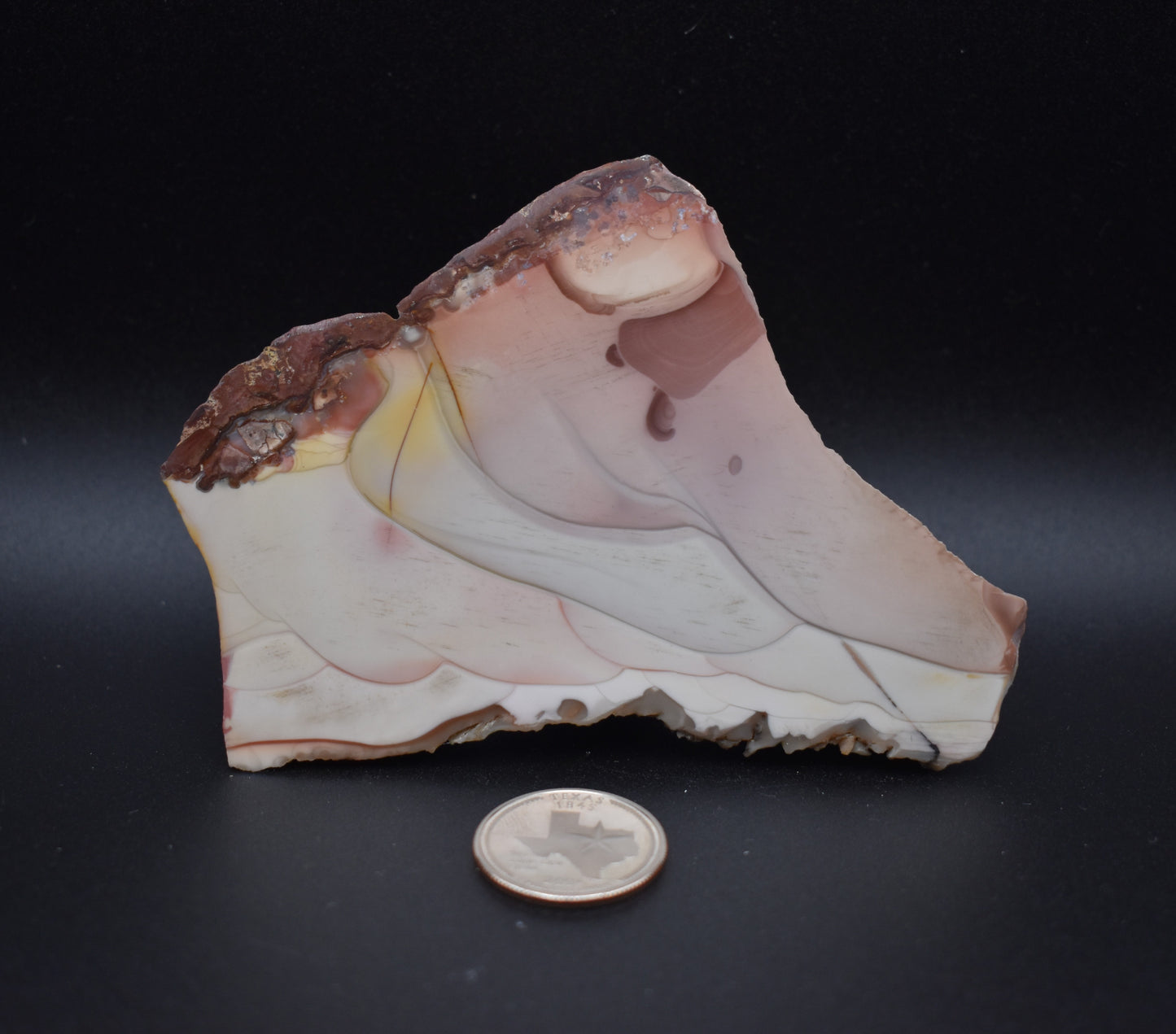 WIllow Creek End Cut Specimen