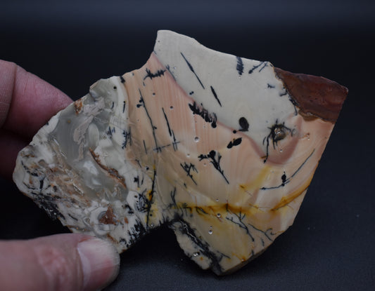 Willow Creek End Cut Polished Specimen