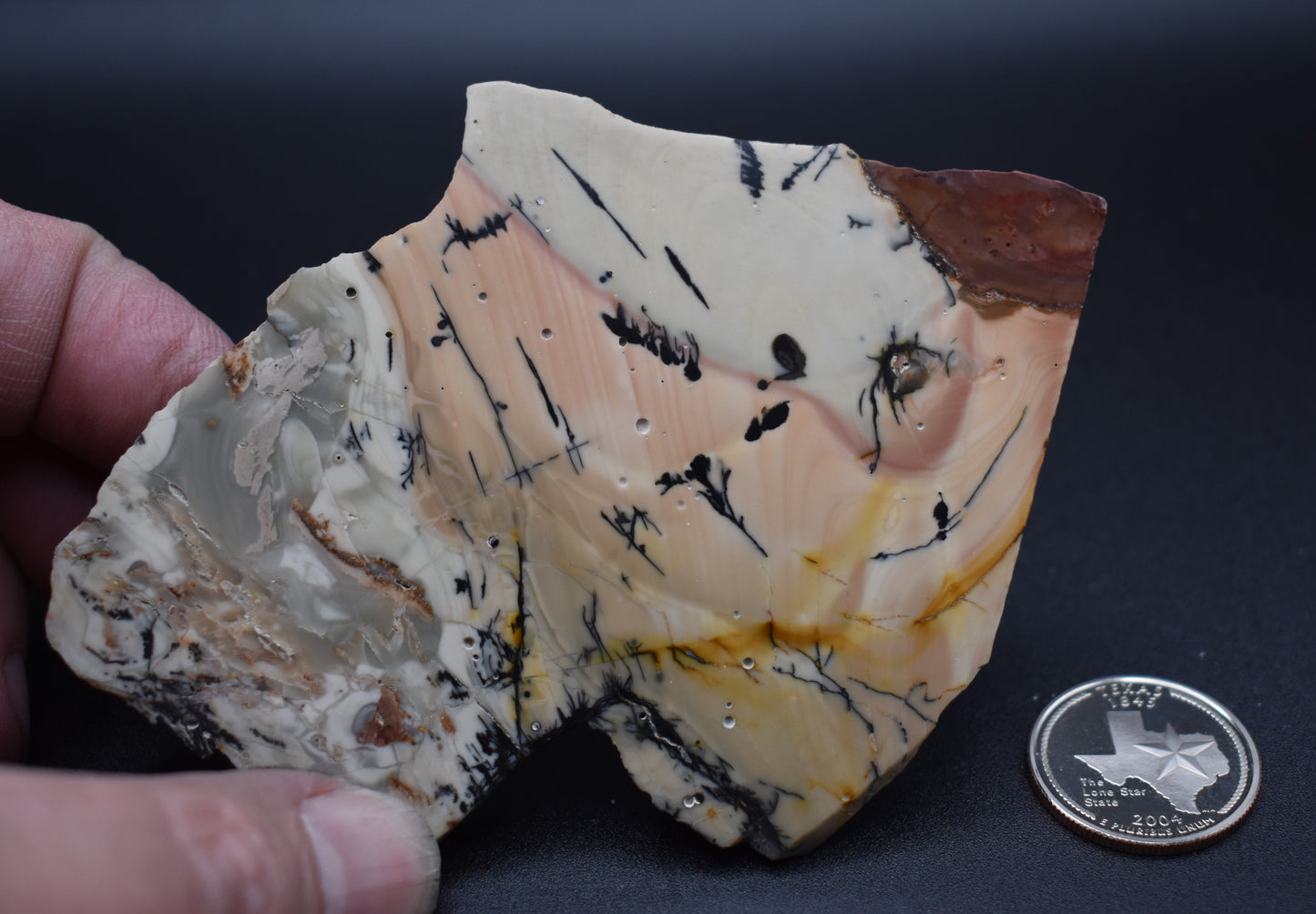 Willow Creek End Cut Polished Specimen