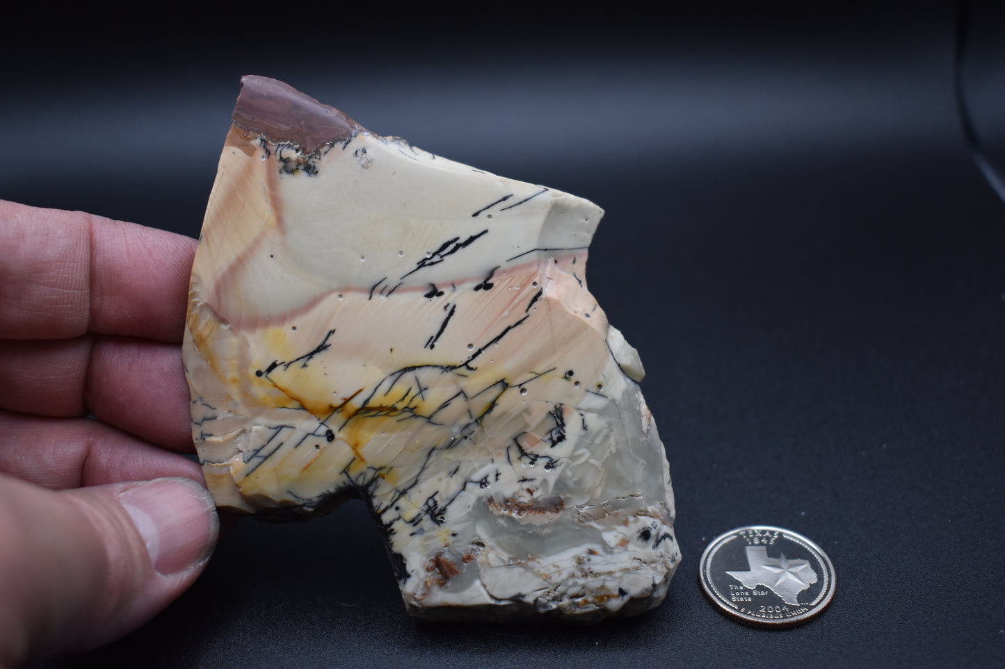 Willow Creek End Cut Polished Specimen